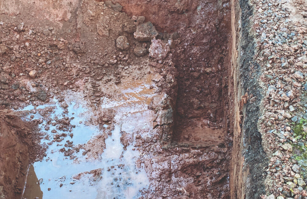 Soil showing oil contamination