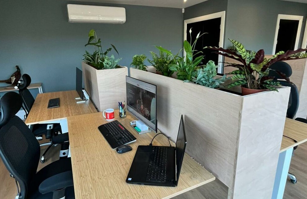 Working view in the new office