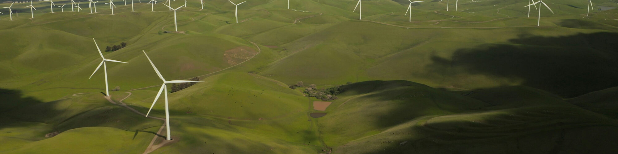 Landscape of renewable energy